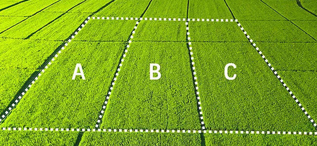 HİSSELİ ARAZİYİ MÜSTAKİL TAPUYA NASIL ÇEVİRİRİZ